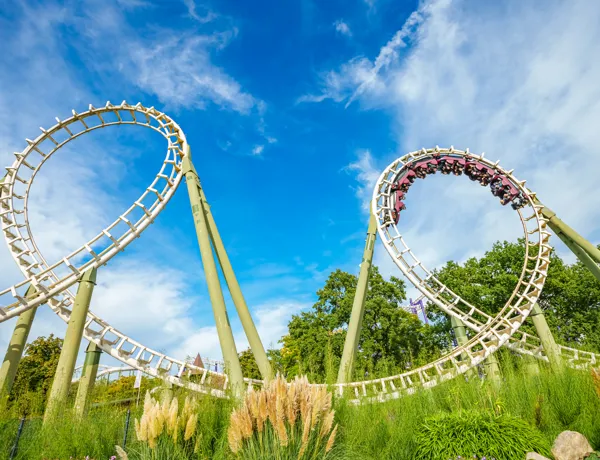 Big Loop