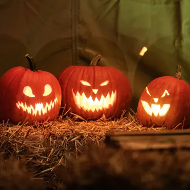 225 Halloween 2021
